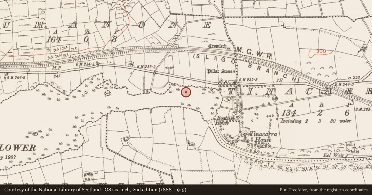 Ordnance Survey six-inch map, 2nd edition (1888–1915) covering the location of Settlement platform, Lough Gara, County Roscommon, with a pin at the register's coordinates
