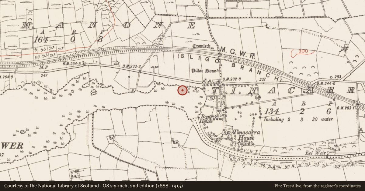 Ordnance Survey six-inch map, 2nd edition (1888–1915) covering the location of Settlement platform, Lough Gara, County Roscommon, with a pin at the register's coordinates