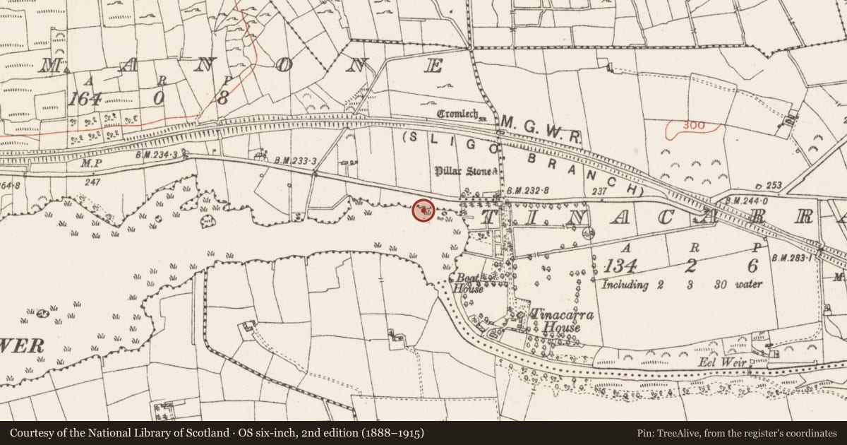 Ordnance Survey six-inch map, 2nd edition (1888–1915) covering the location of Settlement platform, Lough Gara, County Roscommon, with a pin at the register's coordinates