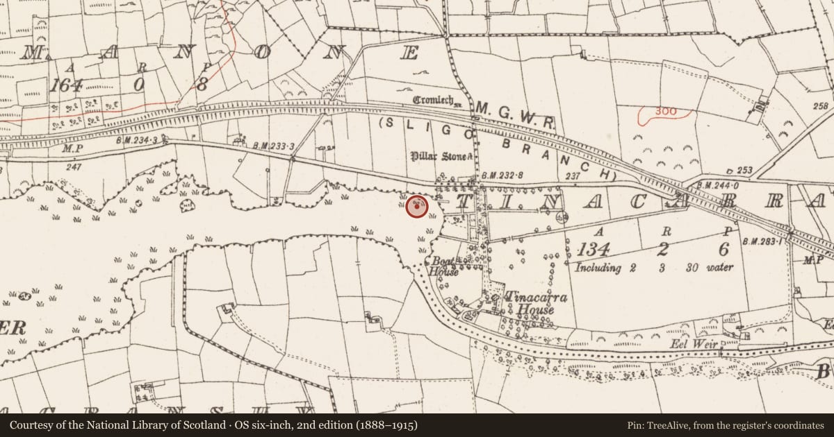 Ordnance Survey six-inch map, 2nd edition (1888–1915) covering the location of Settlement platform, Lough Gara, County Roscommon, with a pin at the register's coordinates