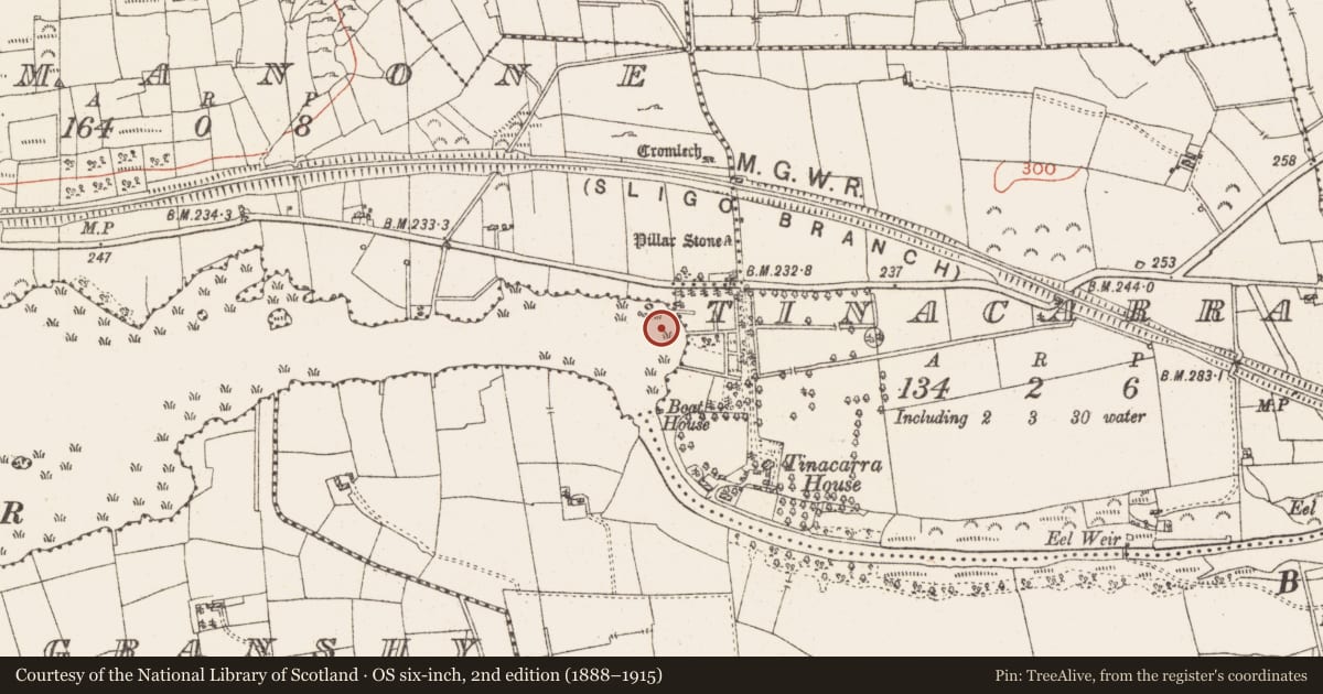 Ordnance Survey six-inch map, 2nd edition (1888–1915) covering the location of Settlement platform, Lough Gara, County Roscommon, with a pin at the register's coordinates