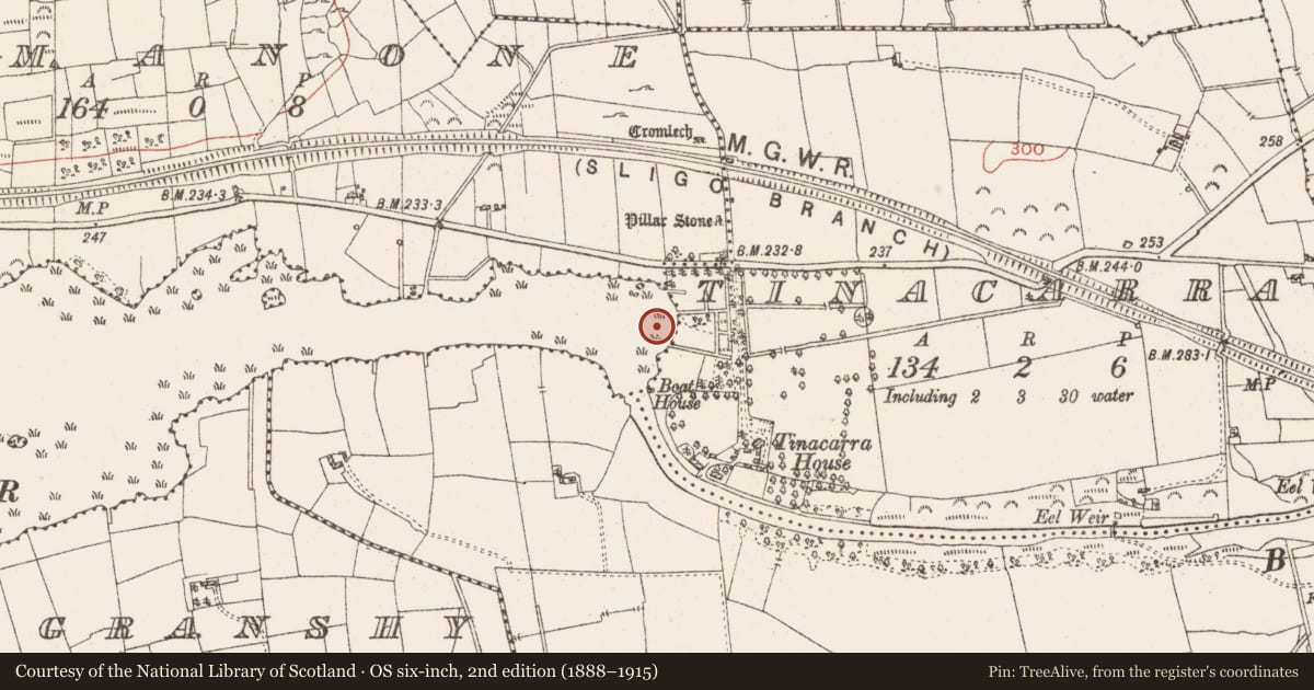Ordnance Survey six-inch map, 2nd edition (1888–1915) covering the location of Settlement platform, Lough Gara, County Roscommon, with a pin at the register's coordinates