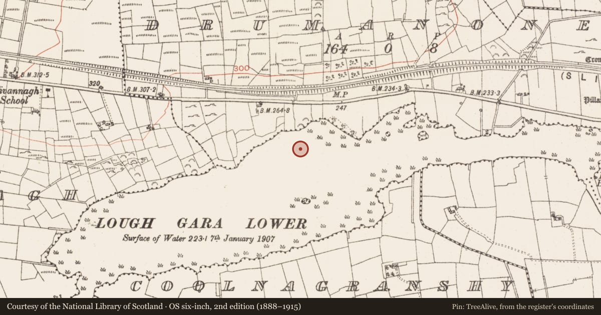 Ordnance Survey six-inch map, 2nd edition (1888–1915) covering the location of Settlement platform, Lough Gara, County Roscommon, with a pin at the register's coordinates