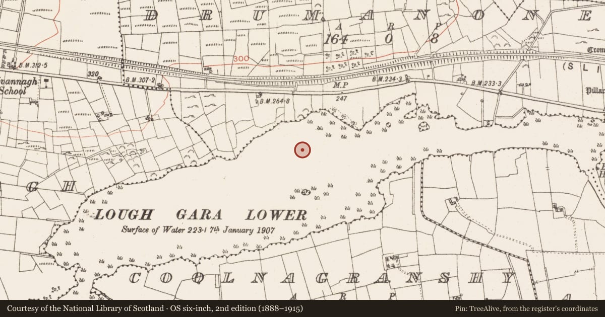 Ordnance Survey six-inch map, 2nd edition (1888–1915) covering the location of Settlement platform, Lough Gara, County Roscommon, with a pin at the register's coordinates