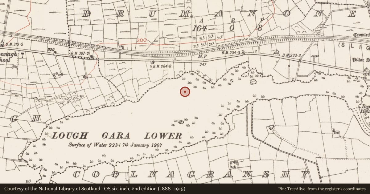 Ordnance Survey six-inch map, 2nd edition (1888–1915) covering the location of Settlement platform, Lough Gara, County Roscommon, with a pin at the register's coordinates