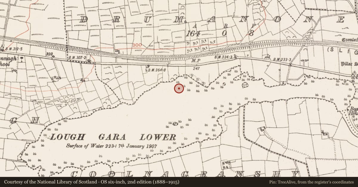 Ordnance Survey six-inch map, 2nd edition (1888–1915) covering the location of Settlement platform, Lough Gara, County Roscommon, with a pin at the register's coordinates
