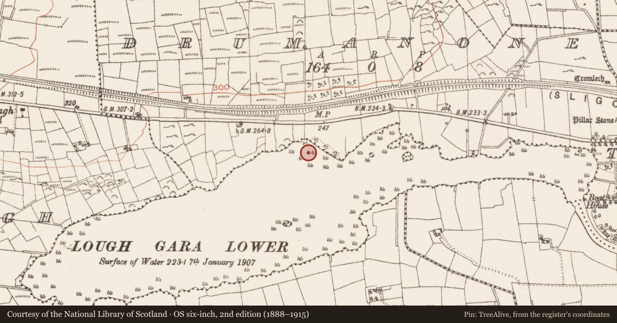 Ordnance Survey six-inch map, 2nd edition (1888–1915) covering the location of Settlement platform, Lough Gara, County Roscommon, with a pin at the register's coordinates