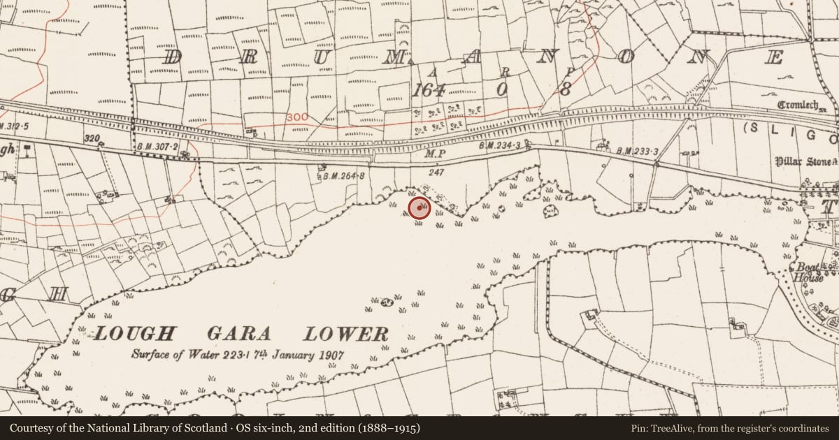 Ordnance Survey six-inch map, 2nd edition (1888–1915) covering the location of Settlement platform, Lough Gara, County Roscommon, with a pin at the register's coordinates