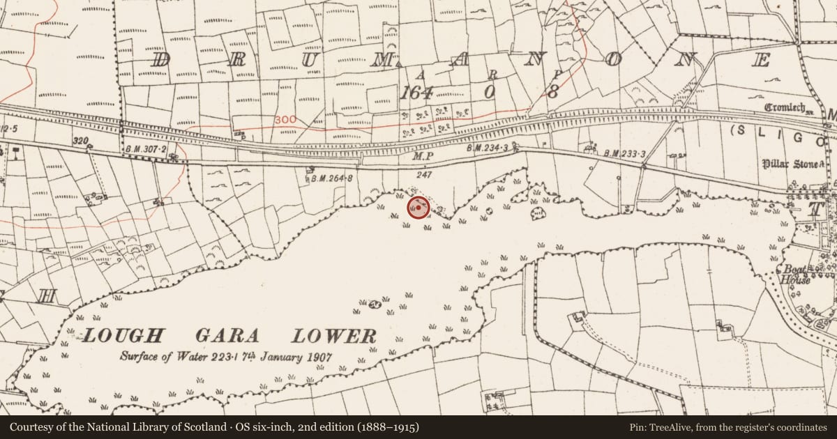Ordnance Survey six-inch map, 2nd edition (1888–1915) covering the location of Settlement platform, Lough Gara, County Roscommon, with a pin at the register's coordinates