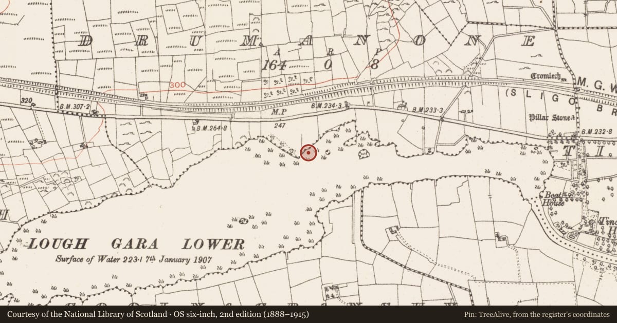 Ordnance Survey six-inch map, 2nd edition (1888–1915) covering the location of Settlement platform, Lough Gara, County Roscommon, with a pin at the register's coordinates
