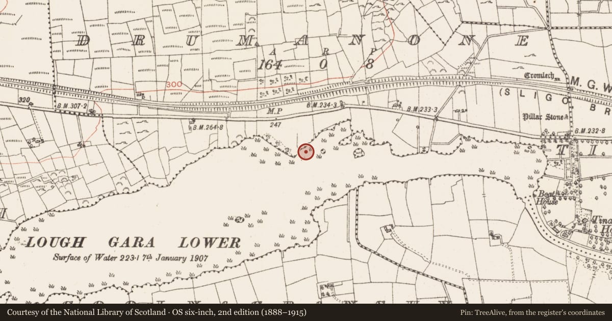 Ordnance Survey six-inch map, 2nd edition (1888–1915) covering the location of Settlement platform, Lough Gara, County Roscommon, with a pin at the register's coordinates