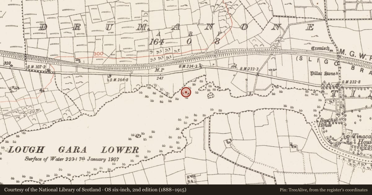 Ordnance Survey six-inch map, 2nd edition (1888–1915) covering the location of Crannog, Lough Gara, County Roscommon, with a pin at the register's coordinates