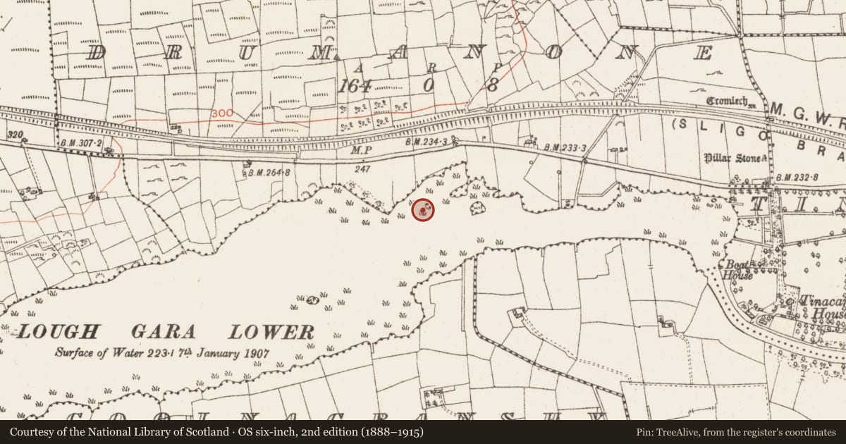 Ordnance Survey six-inch map, 2nd edition (1888–1915) covering the location of Settlement platform, Lough Gara, County Roscommon, with a pin at the register's coordinates