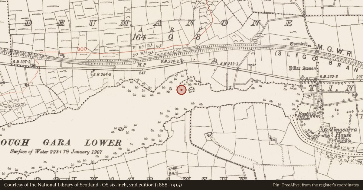 Ordnance Survey six-inch map, 2nd edition (1888–1915) covering the location of Settlement platform, Lough Gara, County Roscommon, with a pin at the register's coordinates