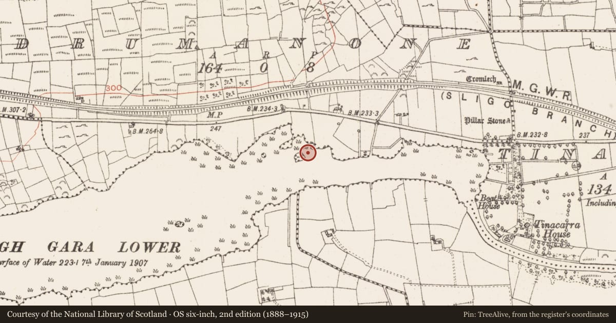 Ordnance Survey six-inch map, 2nd edition (1888–1915) covering the location of Settlement platform, Lough Gara, County Roscommon, with a pin at the register's coordinates