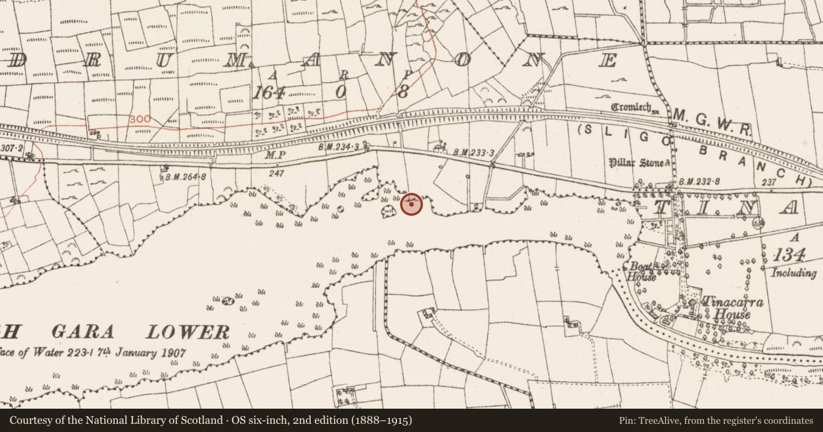 Ordnance Survey six-inch map, 2nd edition (1888–1915) covering the location of Settlement platform, Lough Gara, County Roscommon, with a pin at the register's coordinates