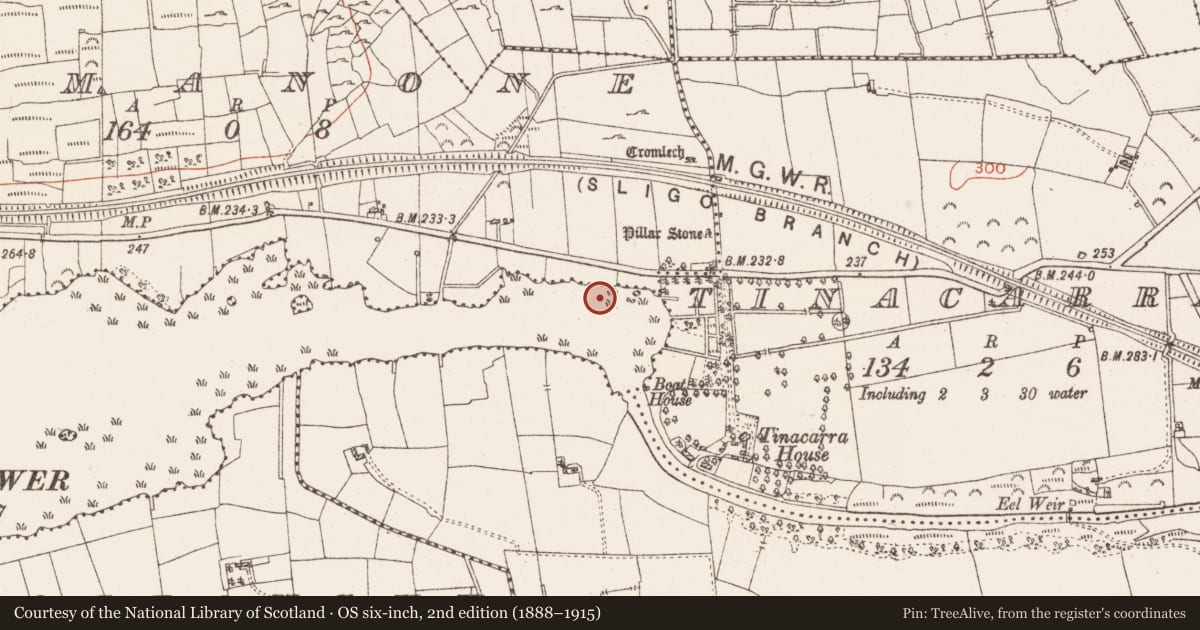 Ordnance Survey six-inch map, 2nd edition (1888–1915) covering the location of Settlement platform, Lough Gara, County Roscommon, with a pin at the register's coordinates