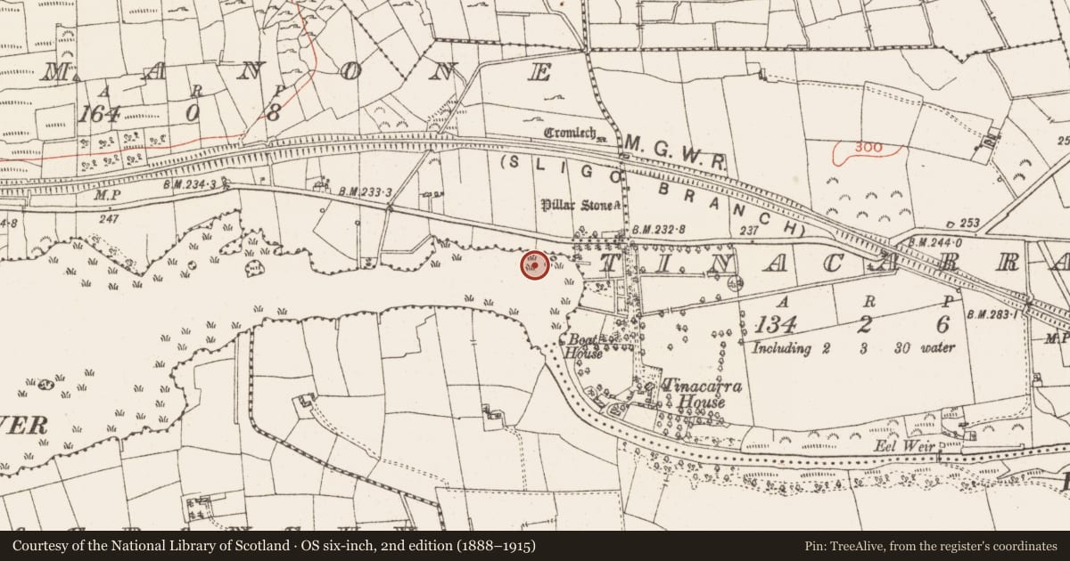 Ordnance Survey six-inch map, 2nd edition (1888–1915) covering the location of Settlement platform, Lough Gara, County Roscommon, with a pin at the register's coordinates