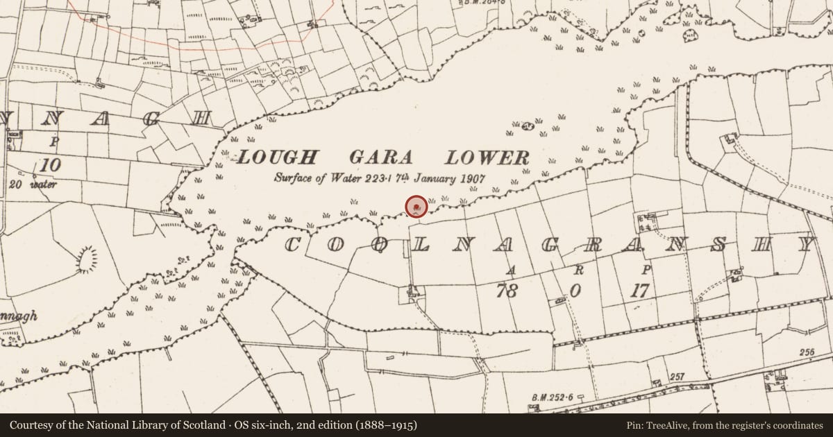 Ordnance Survey six-inch map, 2nd edition (1888–1915) covering the location of Settlement platform, Lough Gara, County Roscommon, with a pin at the register's coordinates
