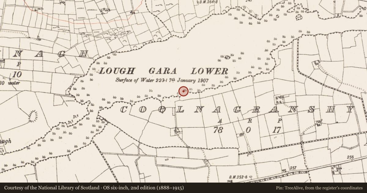 Ordnance Survey six-inch map, 2nd edition (1888–1915) covering the location of Settlement platform, Lough Gara, County Roscommon, with a pin at the register's coordinates