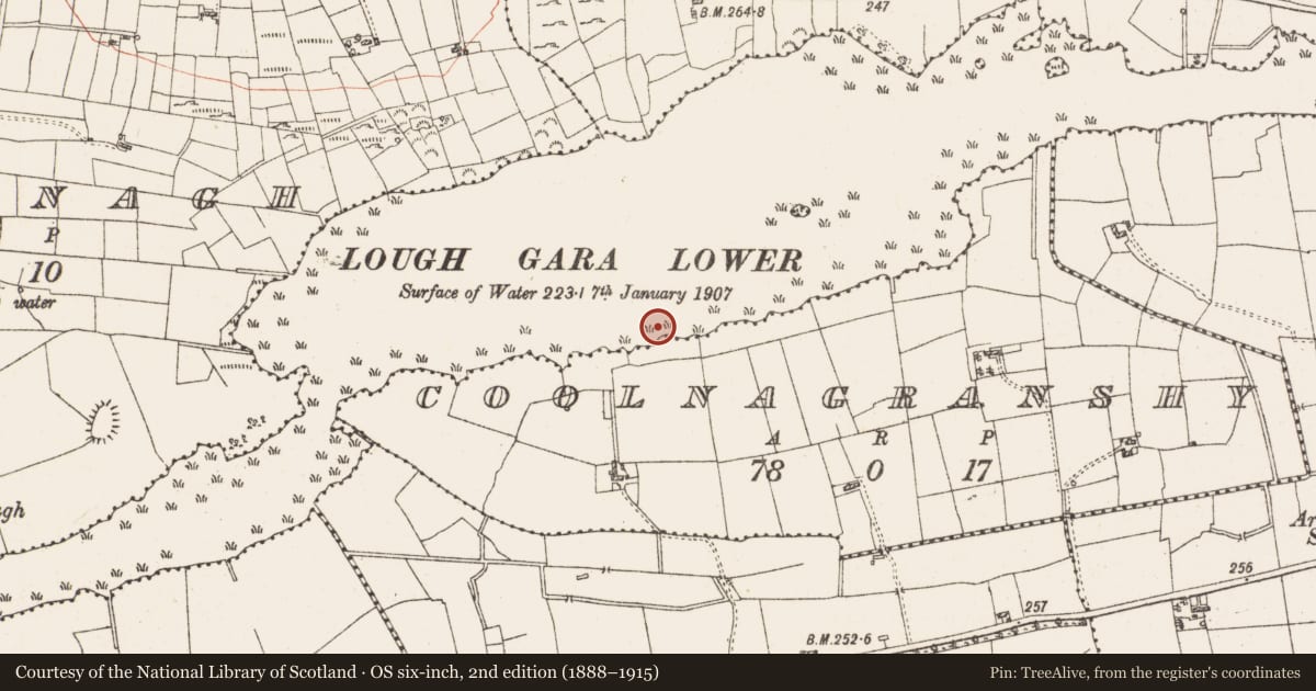 Ordnance Survey six-inch map, 2nd edition (1888–1915) covering the location of Settlement platform, Lough Gara, County Roscommon, with a pin at the register's coordinates
