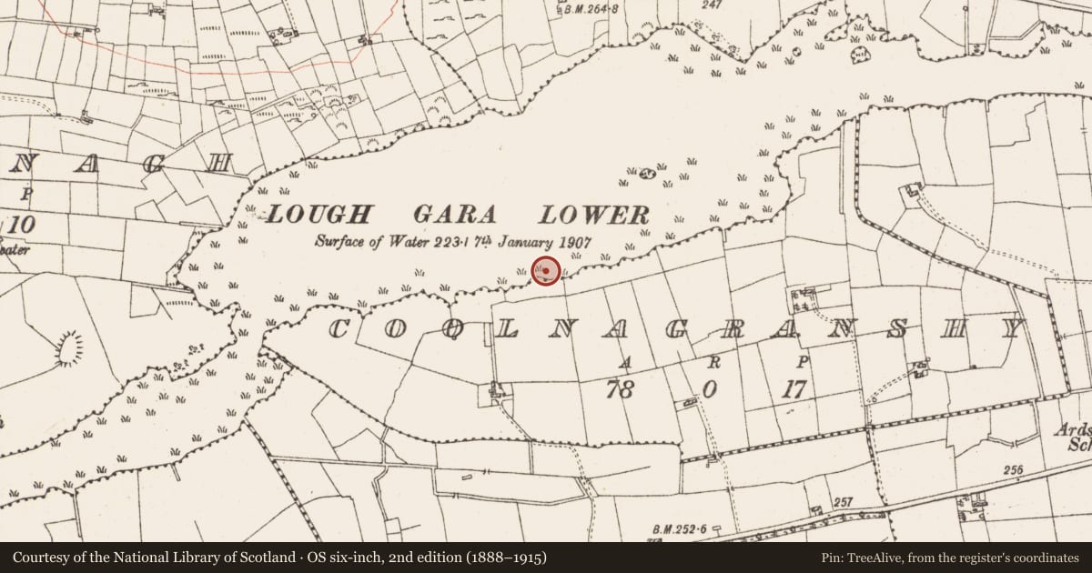 Ordnance Survey six-inch map, 2nd edition (1888–1915) covering the location of Settlement platform, Lough Gara, County Roscommon, with a pin at the register's coordinates