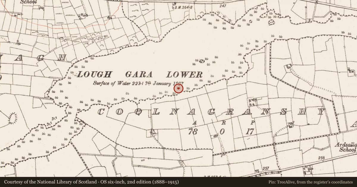 Ordnance Survey six-inch map, 2nd edition (1888–1915) covering the location of Settlement platform, Lough Gara, County Roscommon, with a pin at the register's coordinates