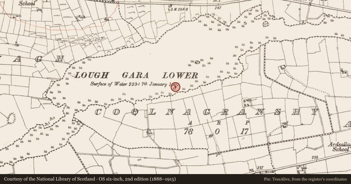 Ordnance Survey six-inch map, 2nd edition (1888–1915) covering the location of Settlement platform, Lough Gara, County Roscommon, with a pin at the register's coordinates