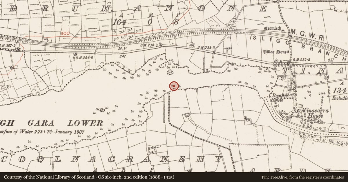 Ordnance Survey six-inch map, 2nd edition (1888–1915) covering the location of Crannog, Lough Gara, County Roscommon, with a pin at the register's coordinates