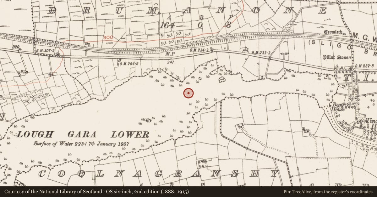 Ordnance Survey six-inch map, 2nd edition (1888–1915) covering the location of Settlement platform, Lough Gara, County Roscommon, with a pin at the register's coordinates
