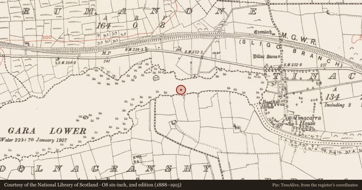 Ordnance Survey six-inch map, 2nd edition (1888–1915) covering the location of Settlement platform, Lough Gara, County Roscommon, with a pin at the register's coordinates