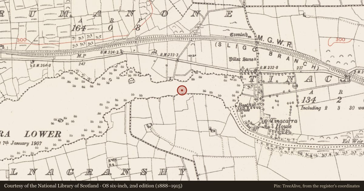 Ordnance Survey six-inch map, 2nd edition (1888–1915) covering the location of Settlement platform, Lough Gara, County Roscommon, with a pin at the register's coordinates