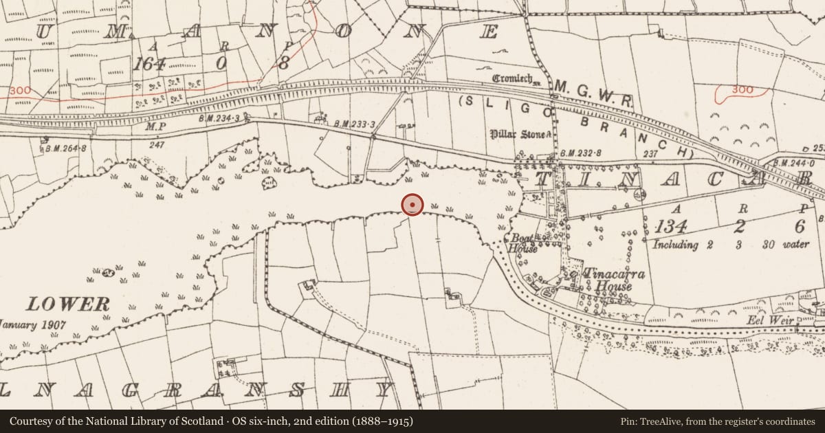 Ordnance Survey six-inch map, 2nd edition (1888–1915) covering the location of Settlement platform, Lough Gara, County Roscommon, with a pin at the register's coordinates