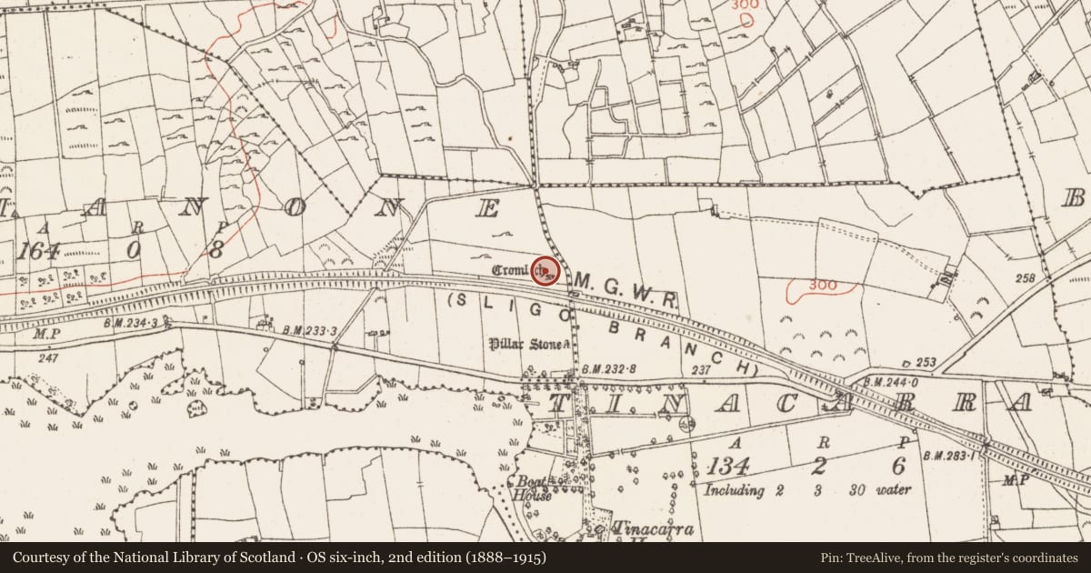Ordnance Survey six-inch map, 2nd edition (1888–1915) covering the location of Megalithic tomb - portal tomb, Drumanone, County Roscommon, with a pin at the register's coordinates
