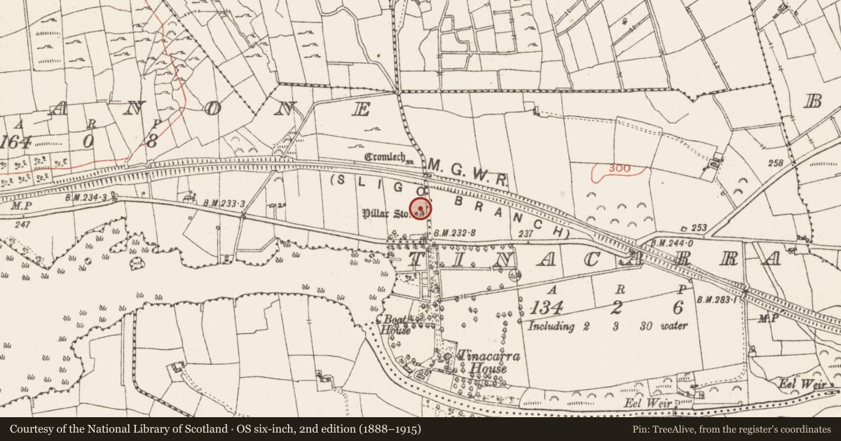 Ordnance Survey six-inch map, 2nd edition (1888–1915) covering the location of Standing stone, Drumanone, County Roscommon, with a pin at the register's coordinates