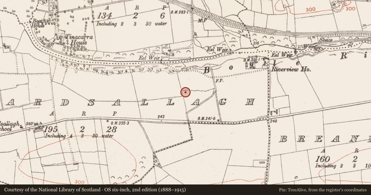 Ordnance Survey six-inch map, 2nd edition (1888–1915) covering the location of Enclosure, Ardsallagh, County Roscommon, with a pin at the register's coordinates