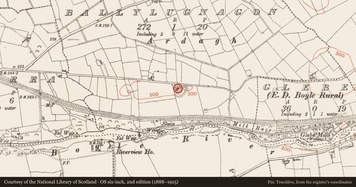 Ordnance Survey six-inch map, 2nd edition (1888–1915) covering the location of Ringfort - rath, Ballylugnagon, County Roscommon, with a pin at the register's coordinates