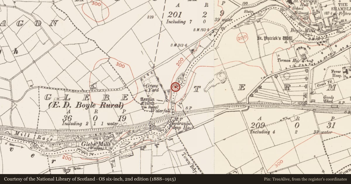 Ordnance Survey six-inch map, 2nd edition (1888–1915) covering the location of Ford, Mocmoyne, County Roscommon, with a pin at the register's coordinates