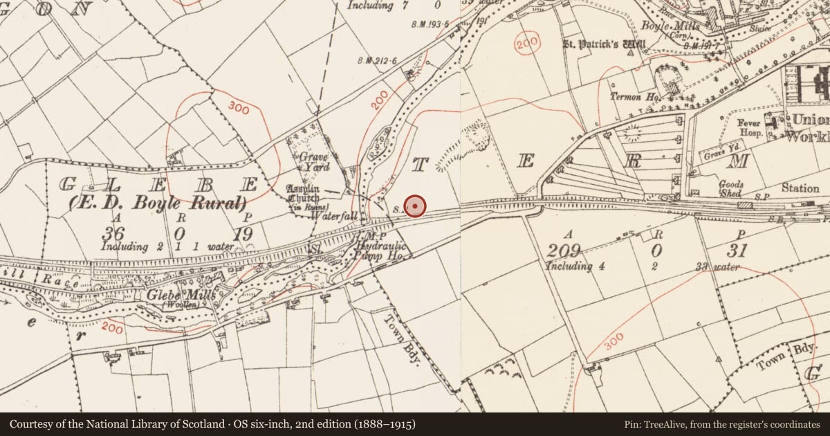 Ordnance Survey six-inch map, 2nd edition (1888–1915) covering the location of Road - road/trackway, Termon, County Roscommon, with a pin at the register's coordinates