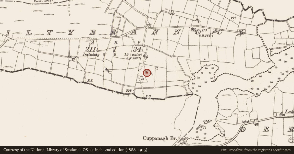 Ordnance Survey six-inch map, 2nd edition (1888–1915) covering the location of Ringfort - rath, Kiltybrannock, County Roscommon, with a pin at the register's coordinates