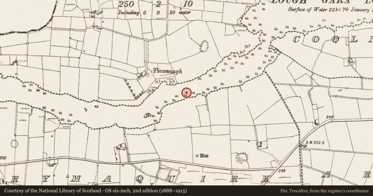 Ordnance Survey six-inch map, 2nd edition (1888–1915) covering the location of Settlement platform, Lough Gara, County Roscommon, with a pin at the register's coordinates