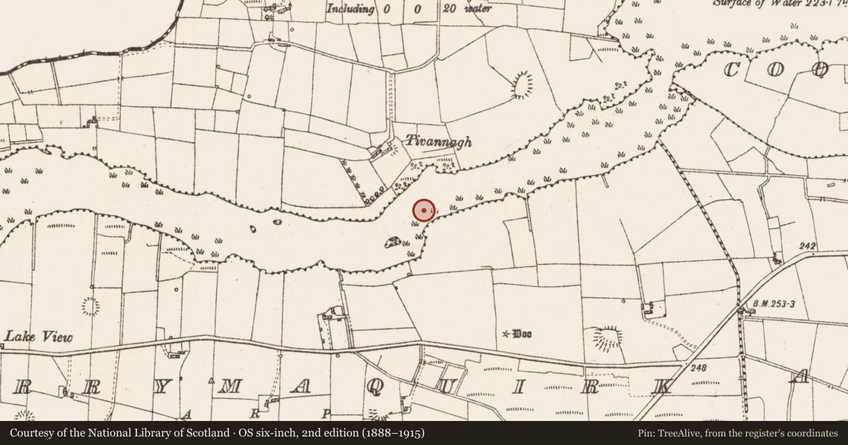 Ordnance Survey six-inch map, 2nd edition (1888–1915) covering the location of Settlement platform, Lough Gara, County Roscommon, with a pin at the register's coordinates