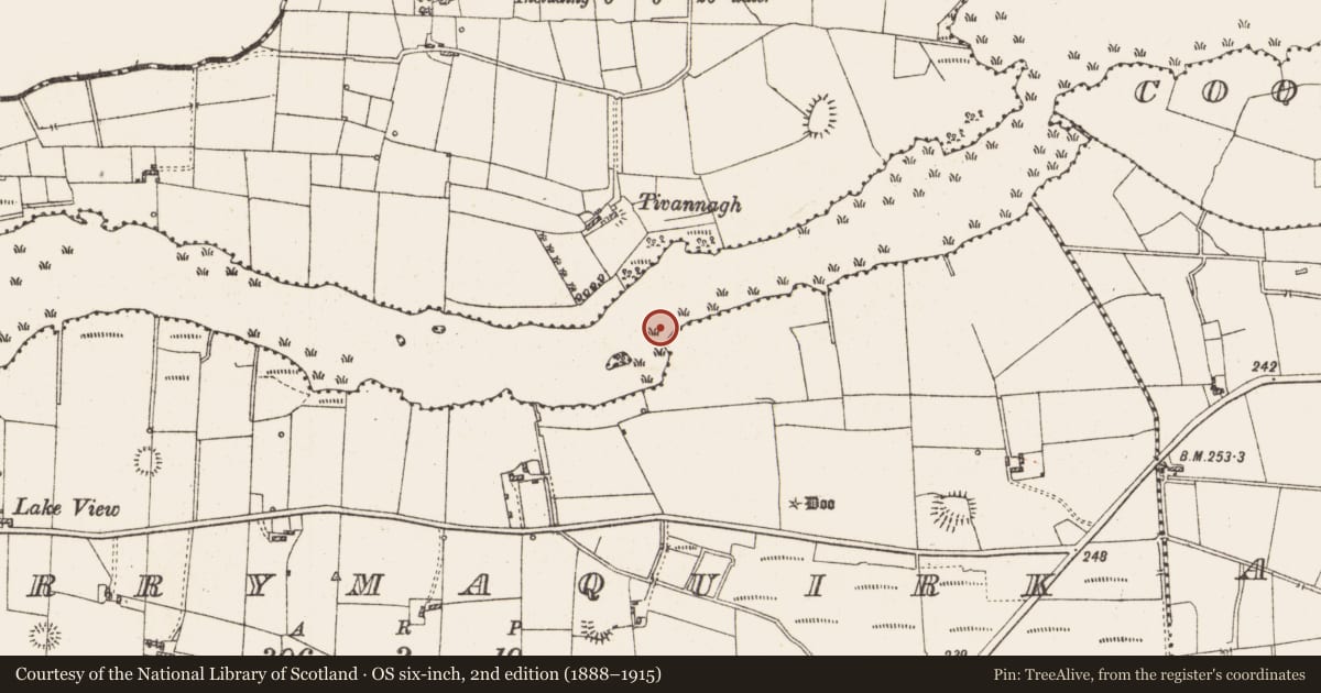 Ordnance Survey six-inch map, 2nd edition (1888–1915) covering the location of Settlement platform, Lough Gara, County Roscommon, with a pin at the register's coordinates