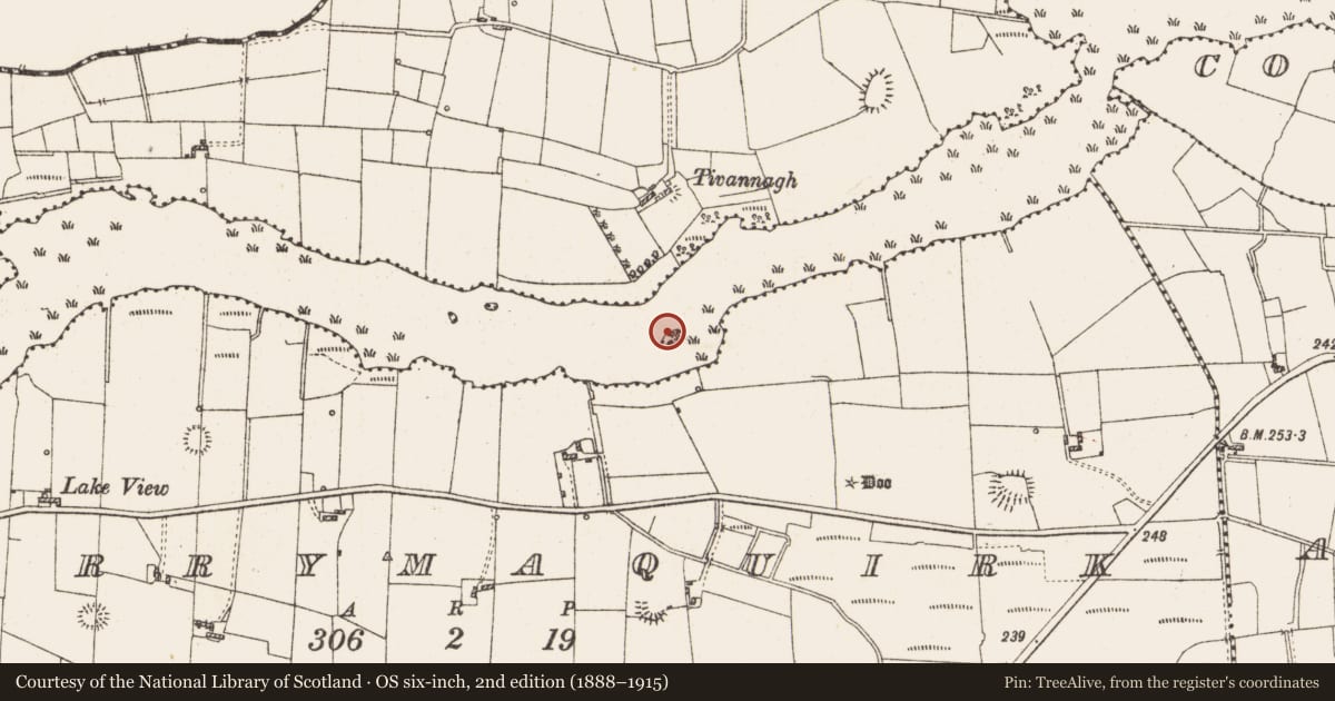 Ordnance Survey six-inch map, 2nd edition (1888–1915) covering the location of Crannog, Lough Gara, County Roscommon, with a pin at the register's coordinates
