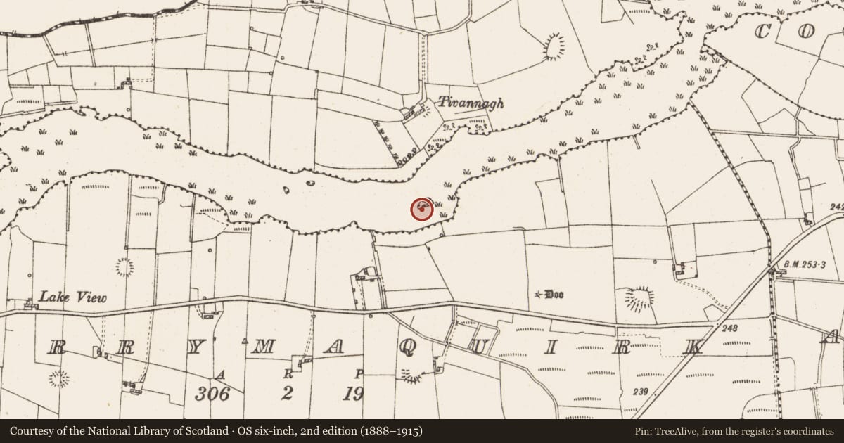 Ordnance Survey six-inch map, 2nd edition (1888–1915) covering the location of Settlement platform, Lough Gara, County Roscommon, with a pin at the register's coordinates