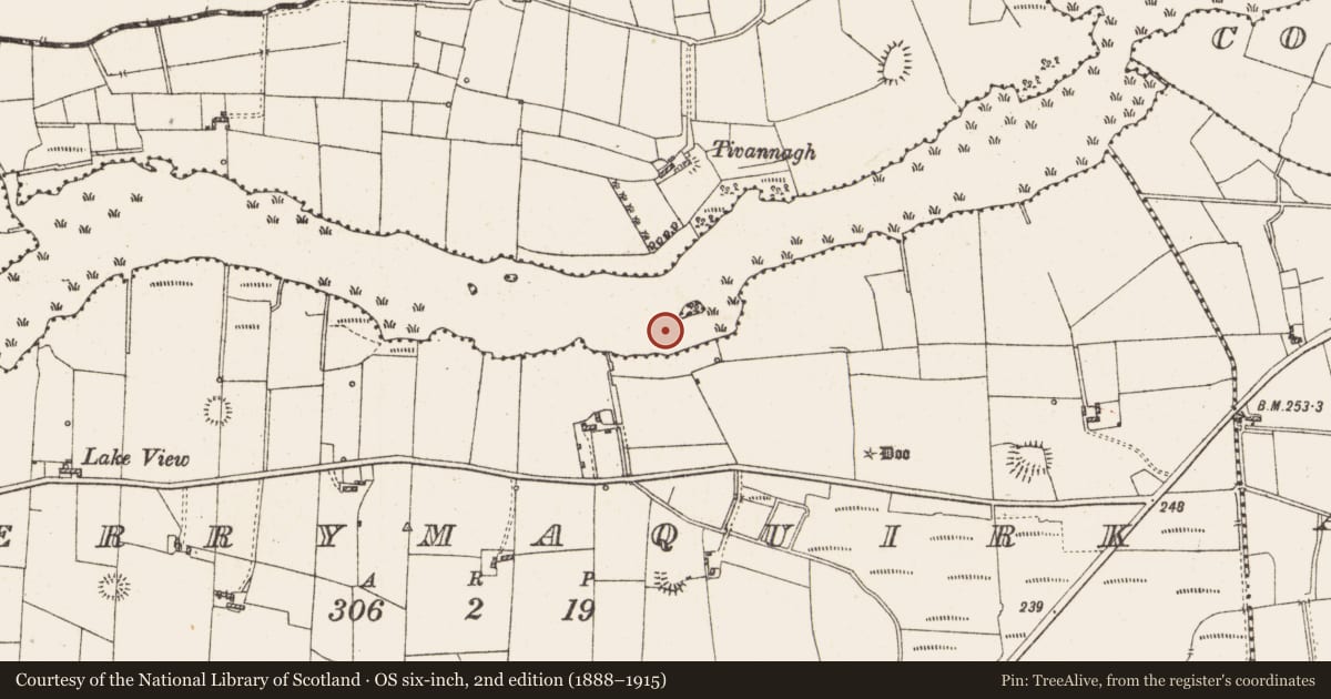 Ordnance Survey six-inch map, 2nd edition (1888–1915) covering the location of Settlement platform, Lough Gara, County Roscommon, with a pin at the register's coordinates