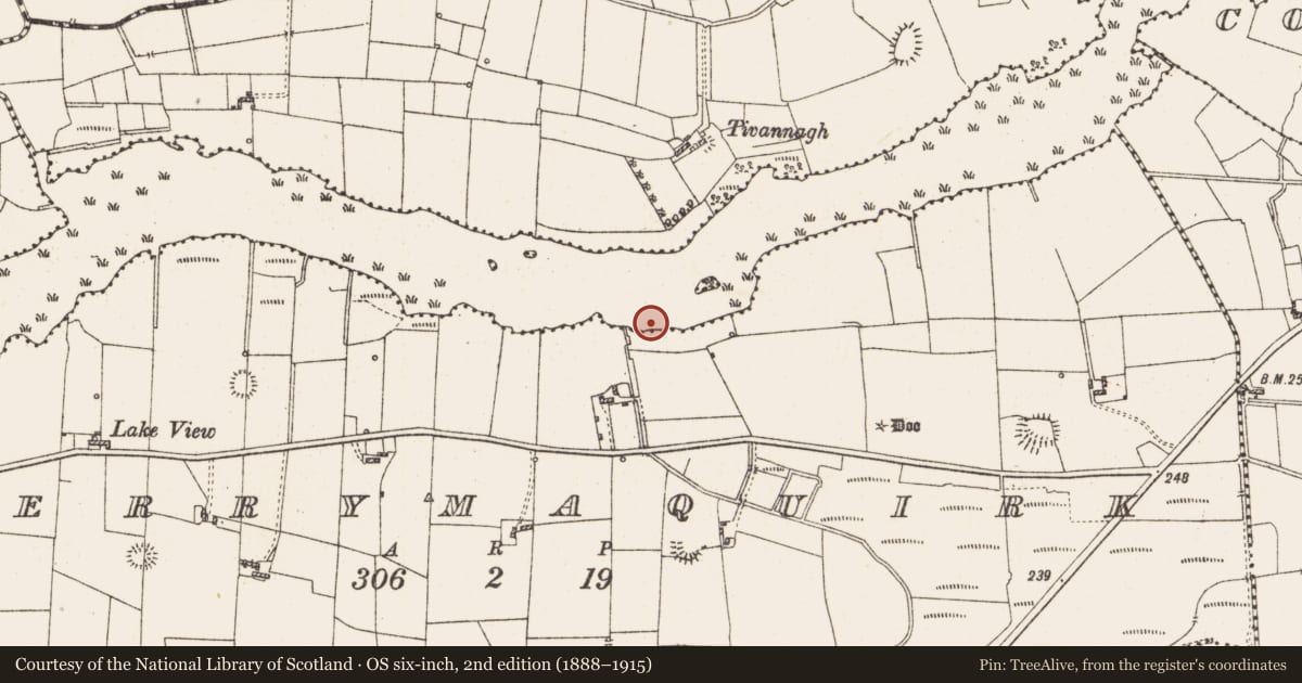 Ordnance Survey six-inch map, 2nd edition (1888–1915) covering the location of Settlement platform, Lough Gara, County Roscommon, with a pin at the register's coordinates