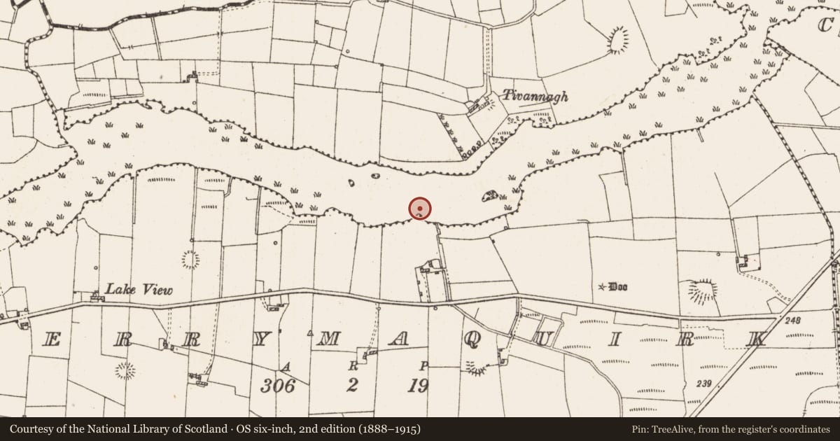 Ordnance Survey six-inch map, 2nd edition (1888–1915) covering the location of Settlement platform, Lough Gara, County Roscommon, with a pin at the register's coordinates