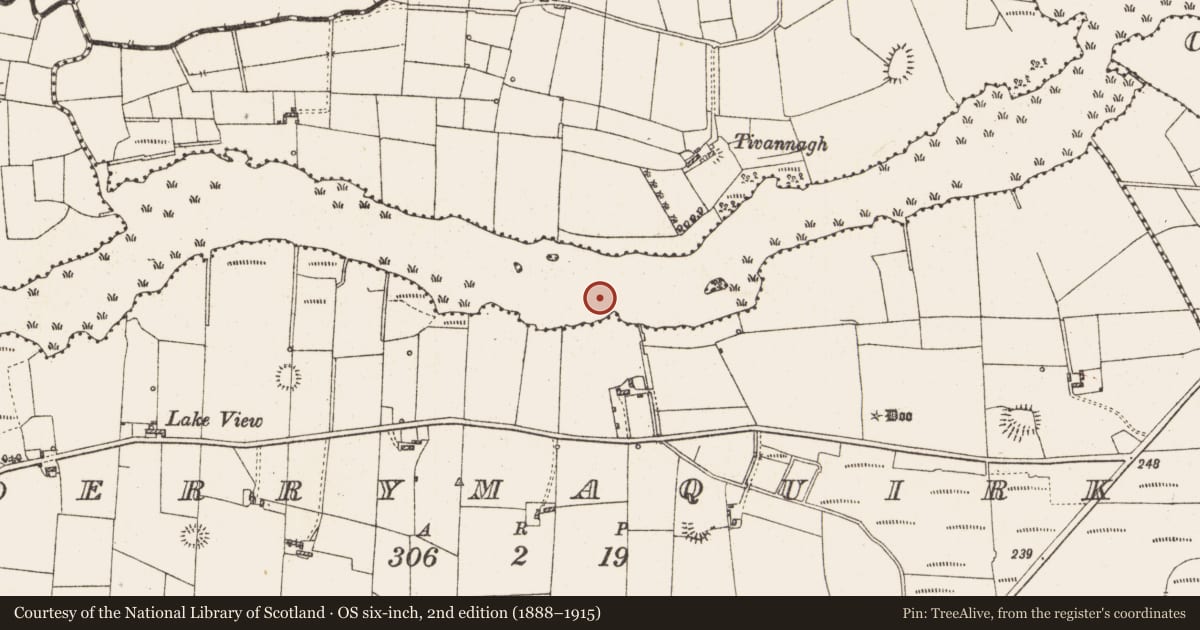 Ordnance Survey six-inch map, 2nd edition (1888–1915) covering the location of Settlement platform, Lough Gara, County Roscommon, with a pin at the register's coordinates
