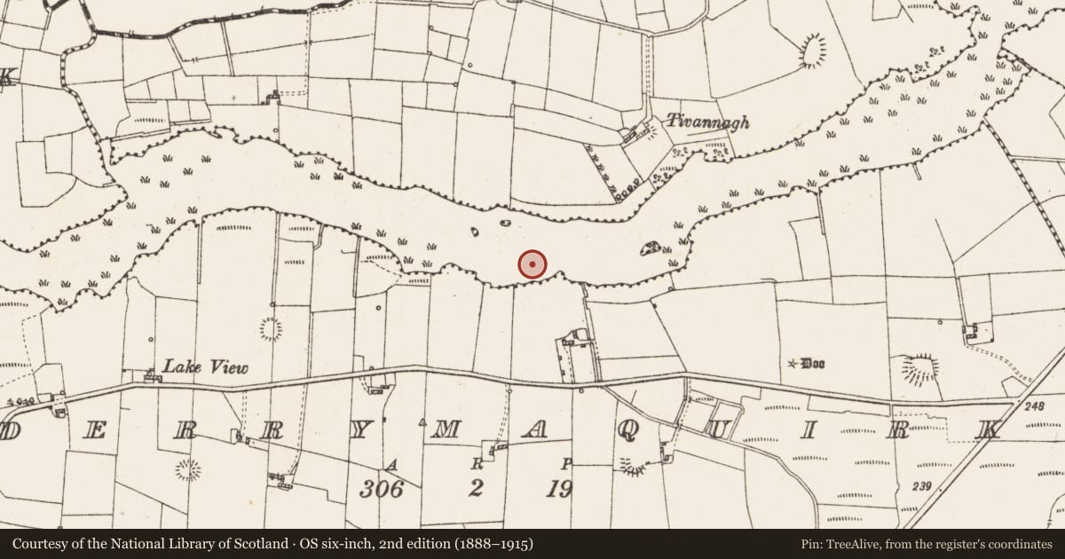 Ordnance Survey six-inch map, 2nd edition (1888–1915) covering the location of Settlement platform, Lough Gara, County Roscommon, with a pin at the register's coordinates
